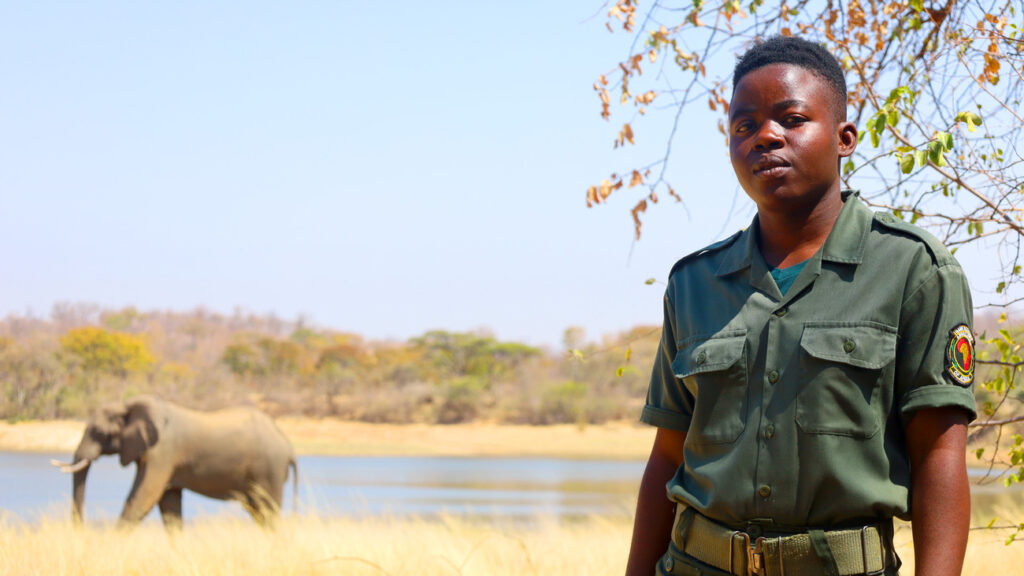 Ranger in uniform with an elephant in the background